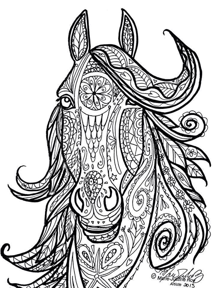 720x960 Horse Adult Coloring Pages