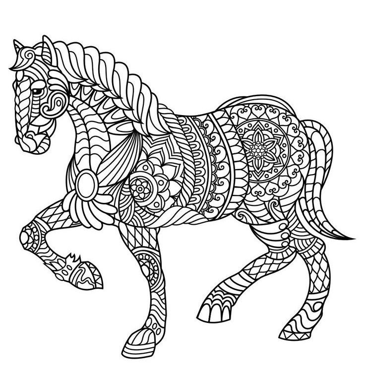 Horse Adult Coloring Pages at GetDrawings | Free download