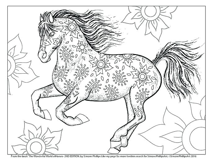 684x527 Adult Coloring Pages Horse S Coloring Pages For Boys