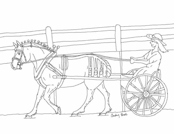 570x440 Items Similar To Single Women Carriage Driving Horse Pony Draft