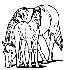 290x299 Horse Horse Show Coloring Page Mare And Foal Coloring Page