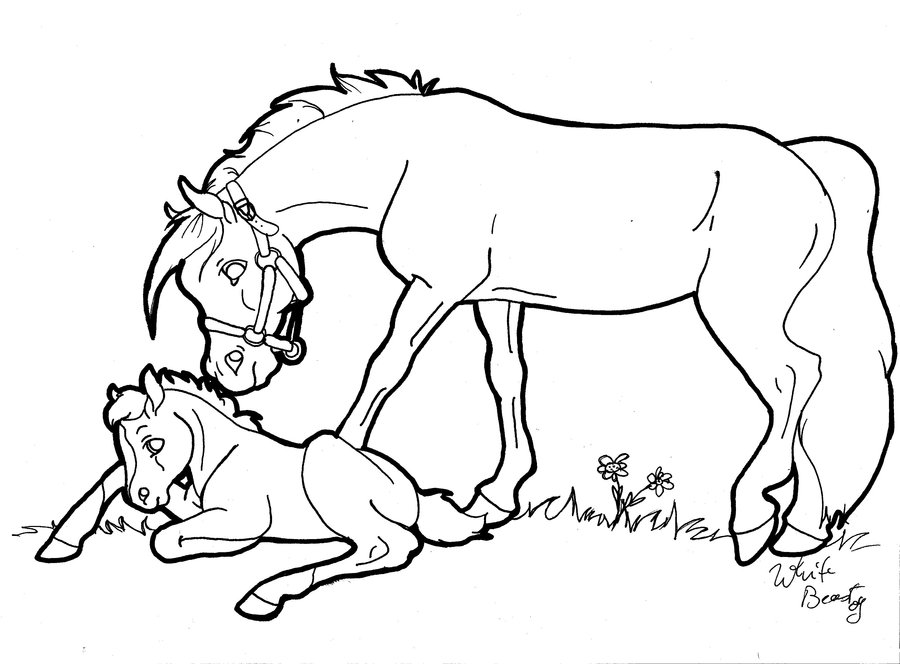 900x664 Mare And Foal Lineart