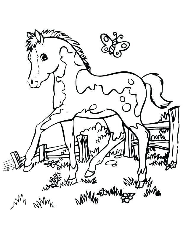 618x800 Mother Horse Foal Coloring Pages Foal Coloring Pages Mare
