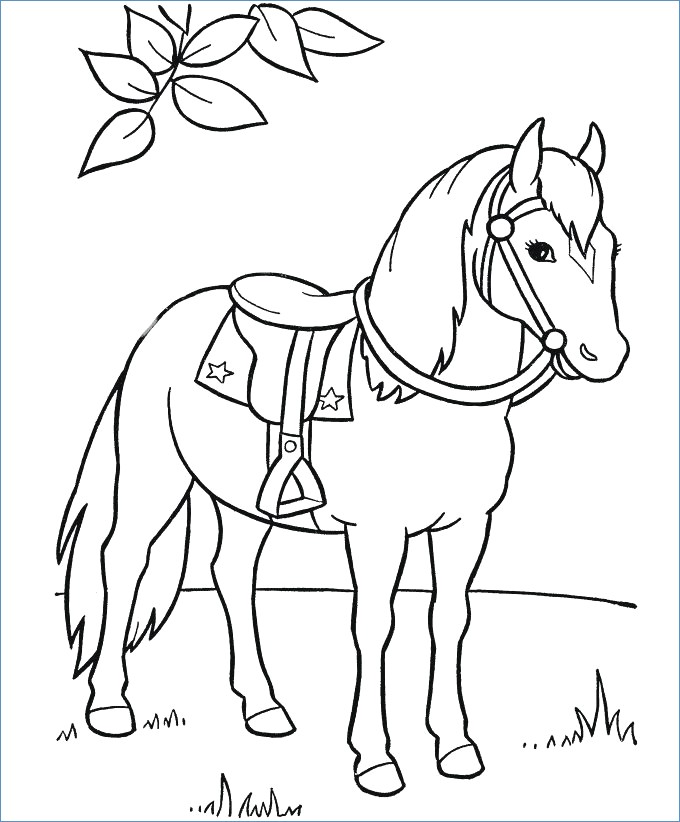 680x822 Race Horse Coloring Page For Prescool