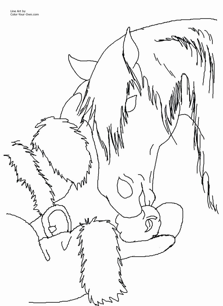 878x1204 Horse Coloring Pages For Adults Inspirational Horse Color Pages