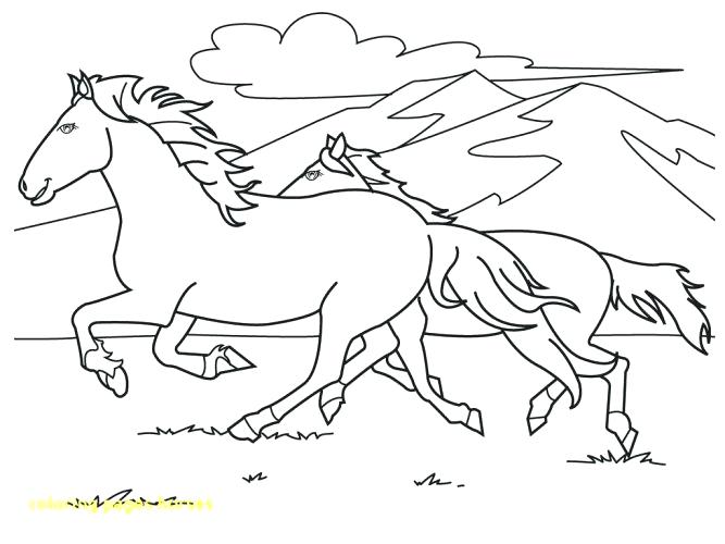 667x500 Horse Coloring Page Horse Coloring Pages For Adults Spirit Horse