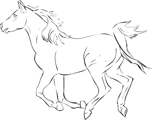 504x397 Horse Pages To Color