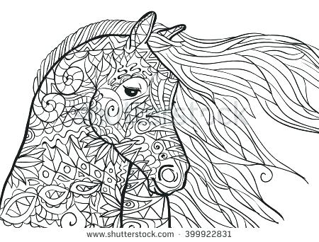450x342 Horse Coloring Page