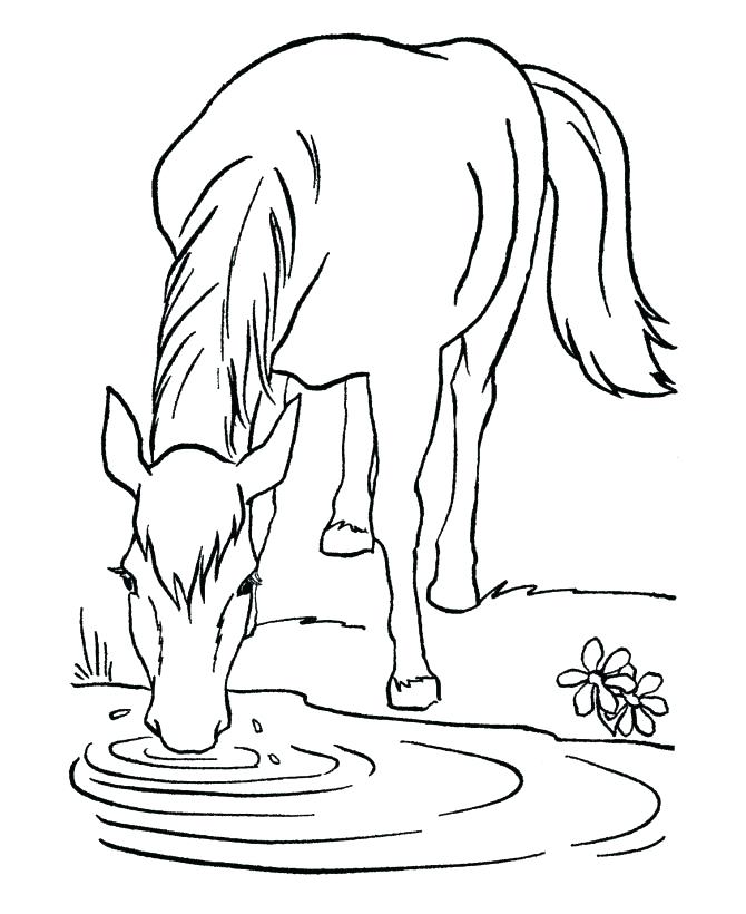 670x820 Free Printable Coloring Pages Of Realistic Horses Kids Coloring
