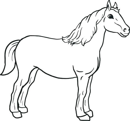 550x509 Horse Coloring Pages Printable Mustang Horse Coloring Pages Horse