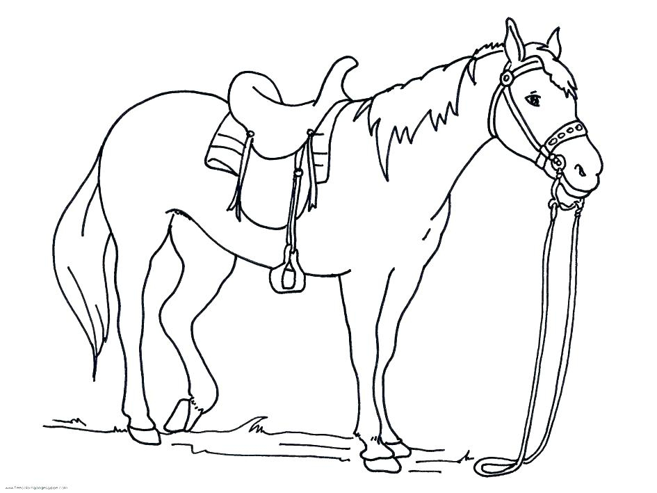 945x709 Horse Drawing Kids