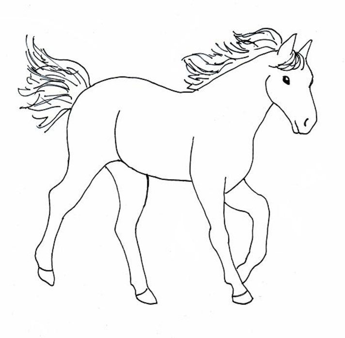712x698 Picture Of Horse To Color Horse To Colour Colouring Pages