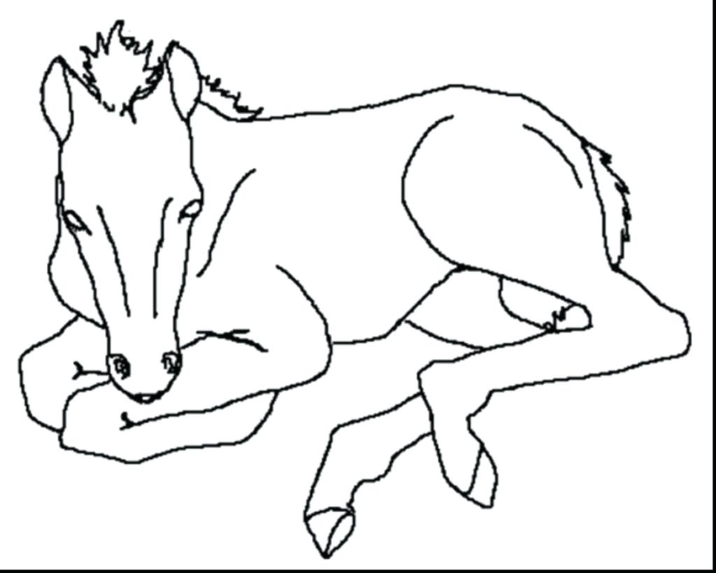 1024x819 Coloring Pages Free Horse Coloring Pages Printable Race Free