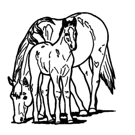268x268 Coloring Pages Printable Of Horses Archives