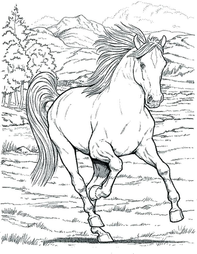 671x862 Horse Coloring Pictures Coloring Pages Pretty Horse Colouring