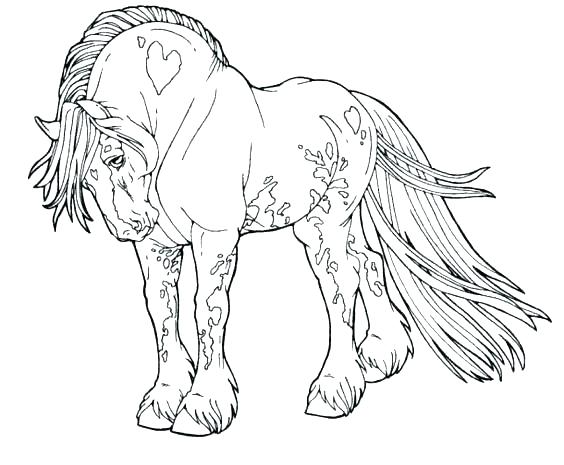564x465 Horse Colouring Pages Horse House Coloring Pages Horse Colouring