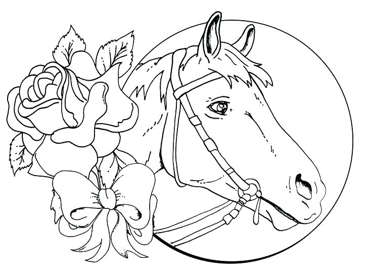 736x551 Horse Pictures To Print Out Or Tags Free Online Horse Coloring