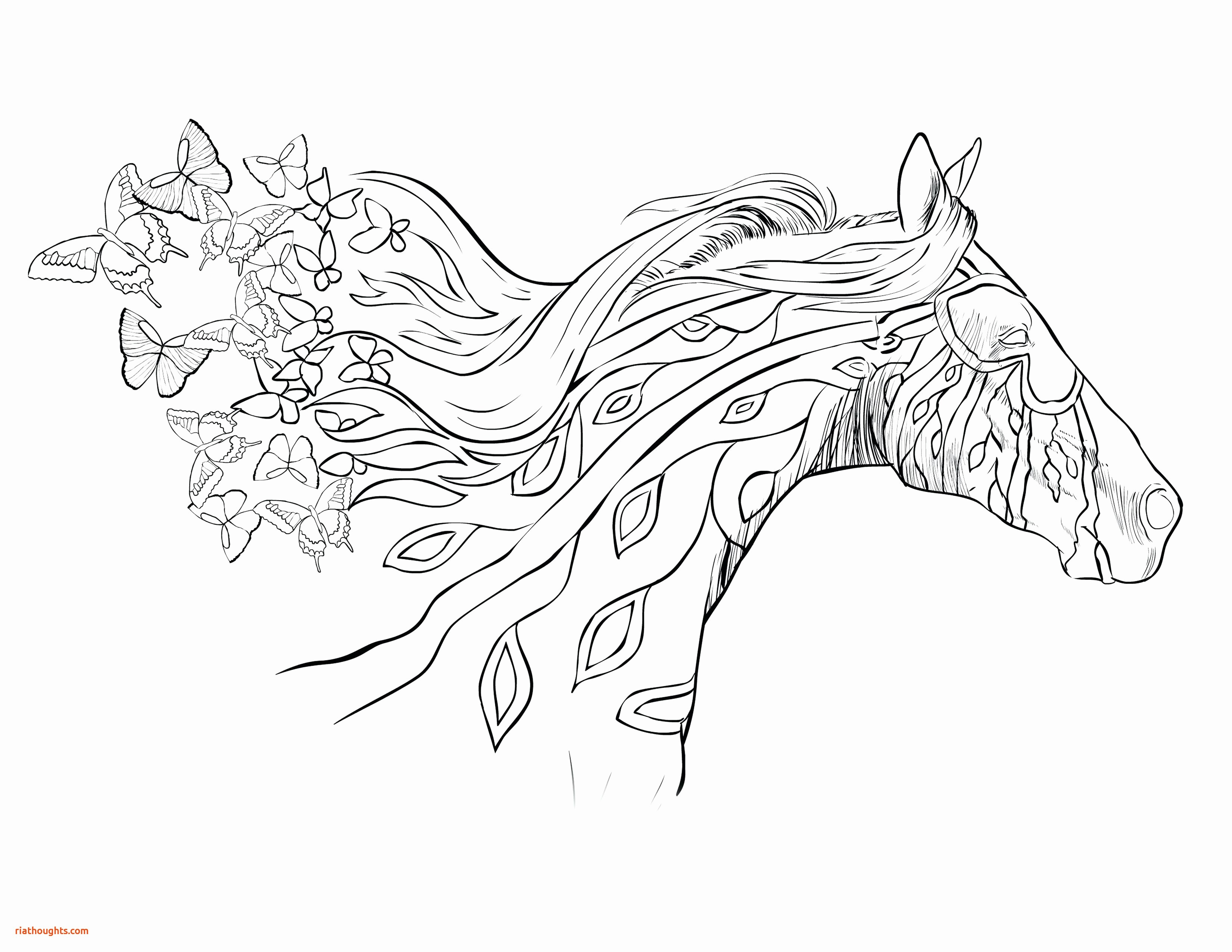 3300x2550 Best Of Spirit Horse Coloring Pages Coloring