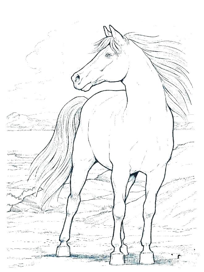 660x880 Spirit Horse Coloring Pages Barbie Horse Coloring Pages Horse