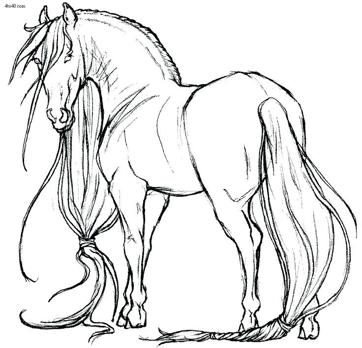 736x707 Horses Coloring Pages Horse Coloring Pages For Adults Animals