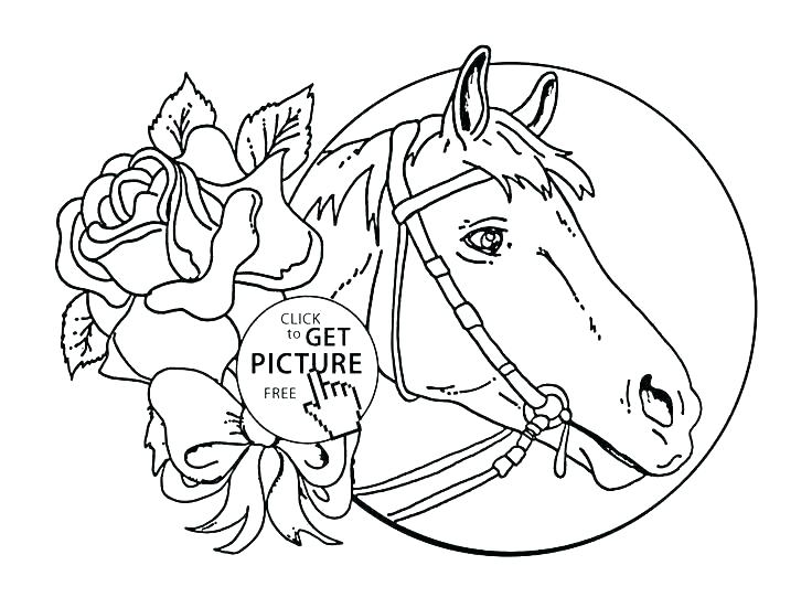 736x551 Spirit Horse Coloring Pages