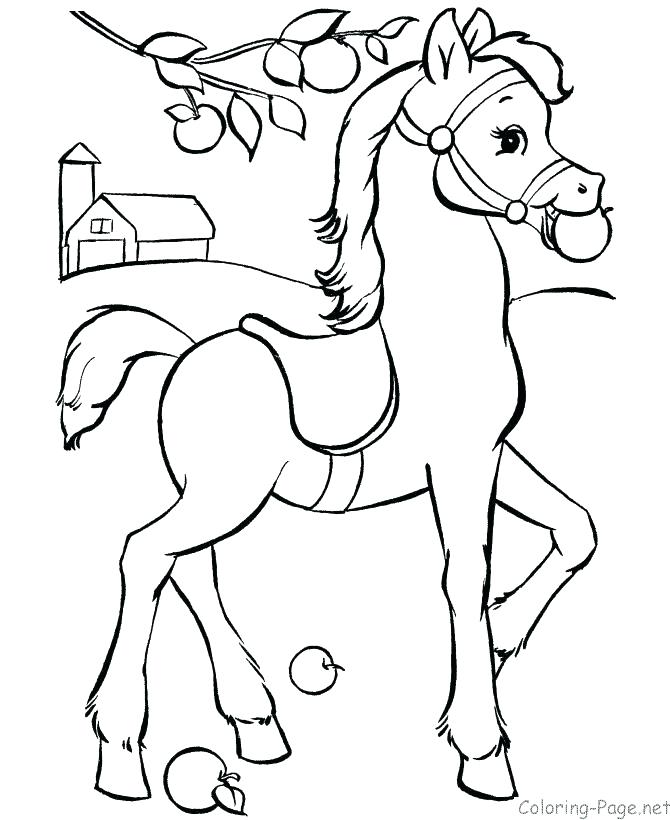 670x820 Horse Coloring Pages Spirit Awesome Arabian Horse Coloring Pages