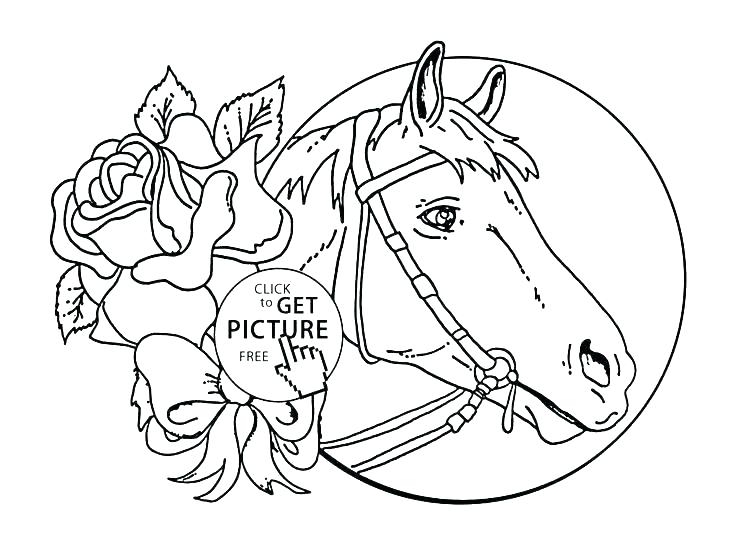 736x551 Coloring Pages Of Horses And Ponies Horse Coloring Pages Free