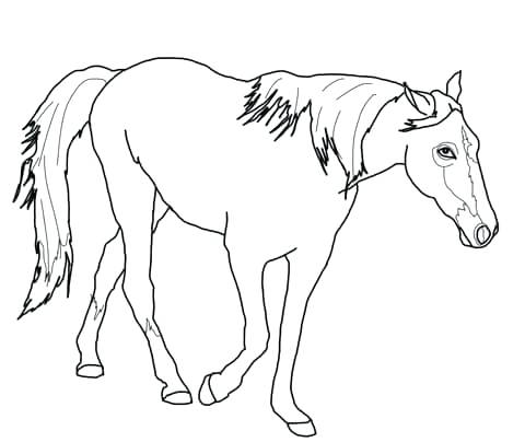 Horse Face Coloring Pages at GetDrawings | Free download