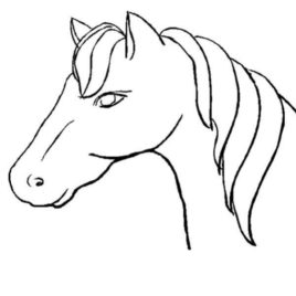 268x268 Horse Face Coloring Page Archives