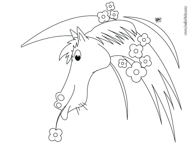 620x480 Horse Face Coloring Page Flowered Horse Coloring Page Cute