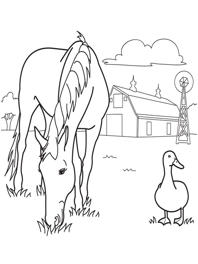 768x1024 Free Printable Horse Coloring Pages For Kids Horse, Farming