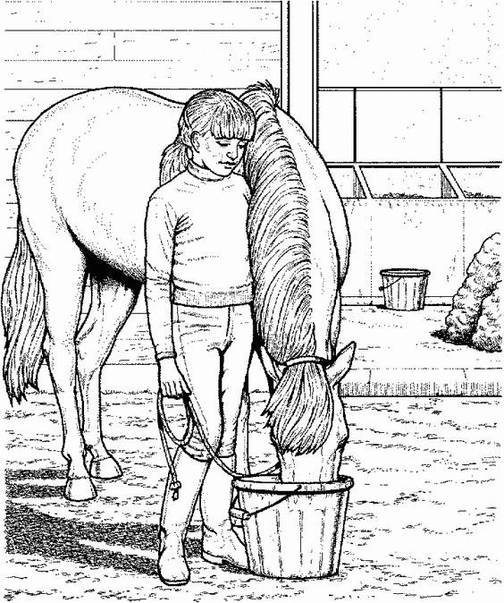564x674 My Horse At The Farm Coloring Page