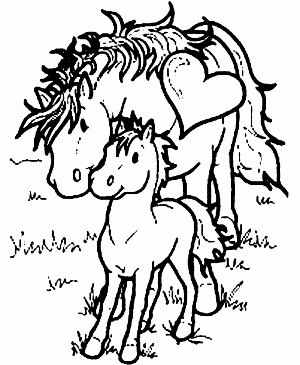 987x1200 Baby Horse Coloring Pages To Print Horse Coloring Pages For Horse