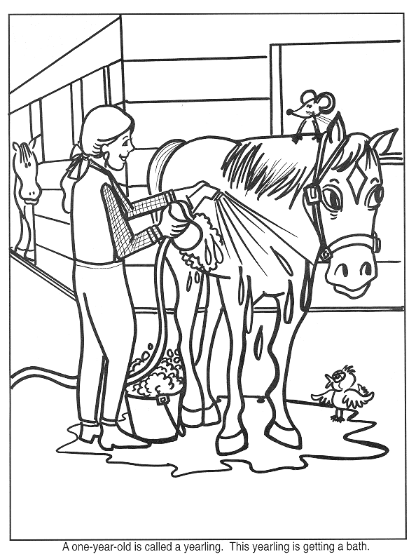 594x797 Bathing Horse Coloring Page