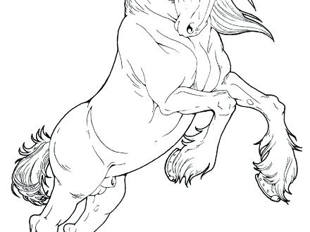 440x330 Horse Head Coloring Pages Horse Head Coloring Pages Coloring Pages