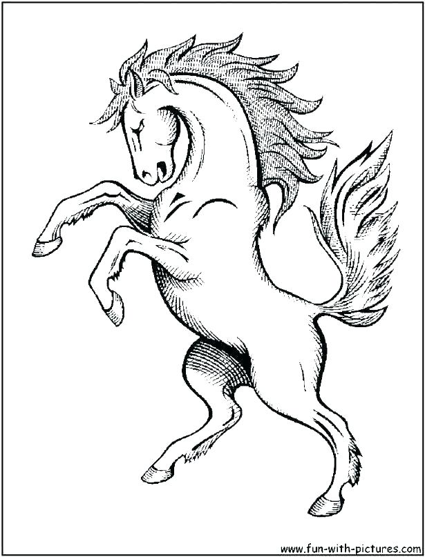 615x807 Printable Horse Head Coloring Pages Page Color Printab