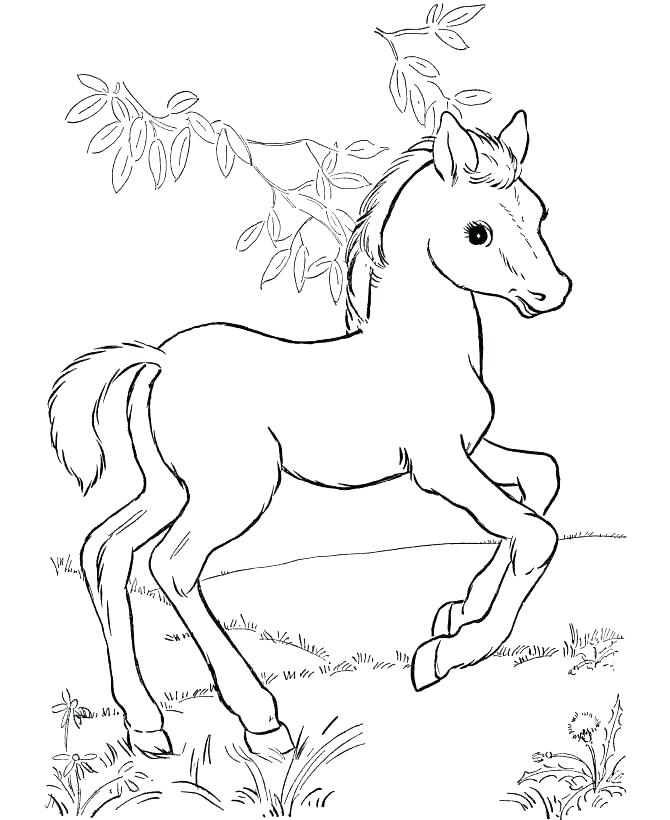 670x820 Wild Horse Coloring Pages Realistic Horse Coloring Pages Useful