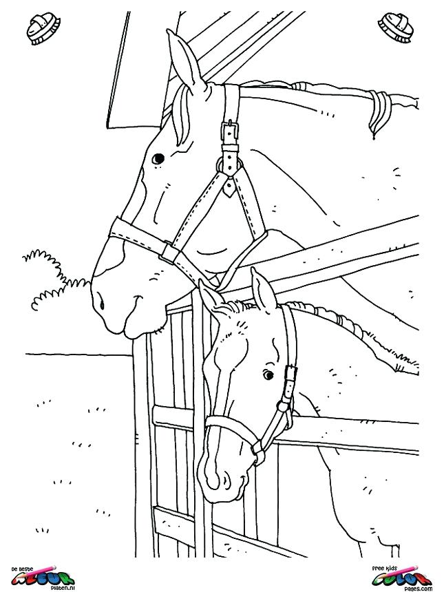 645x860 Wild Horse Herd Coloring Pages Group Of Horses Page