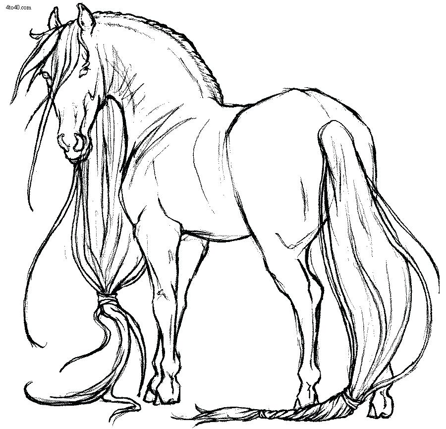 900x865 Wild Horse Herd Coloring Pages Mustang Page Free