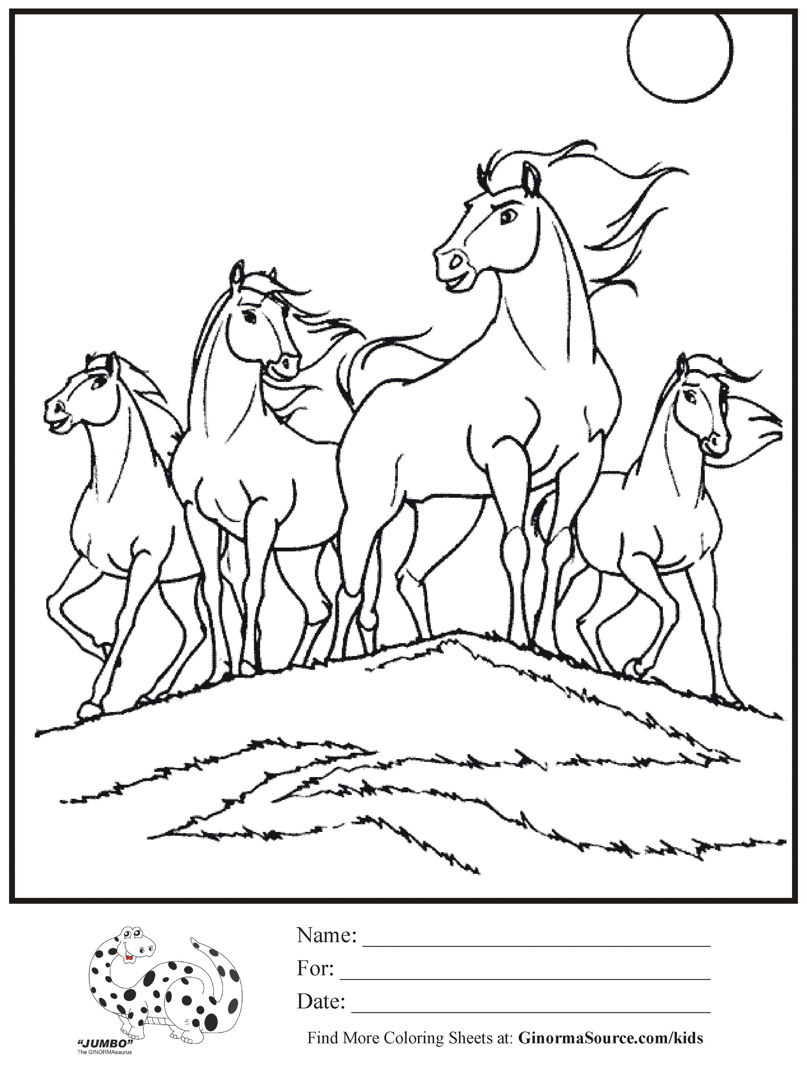 2755x3657 Arabian Horse Coloring Page