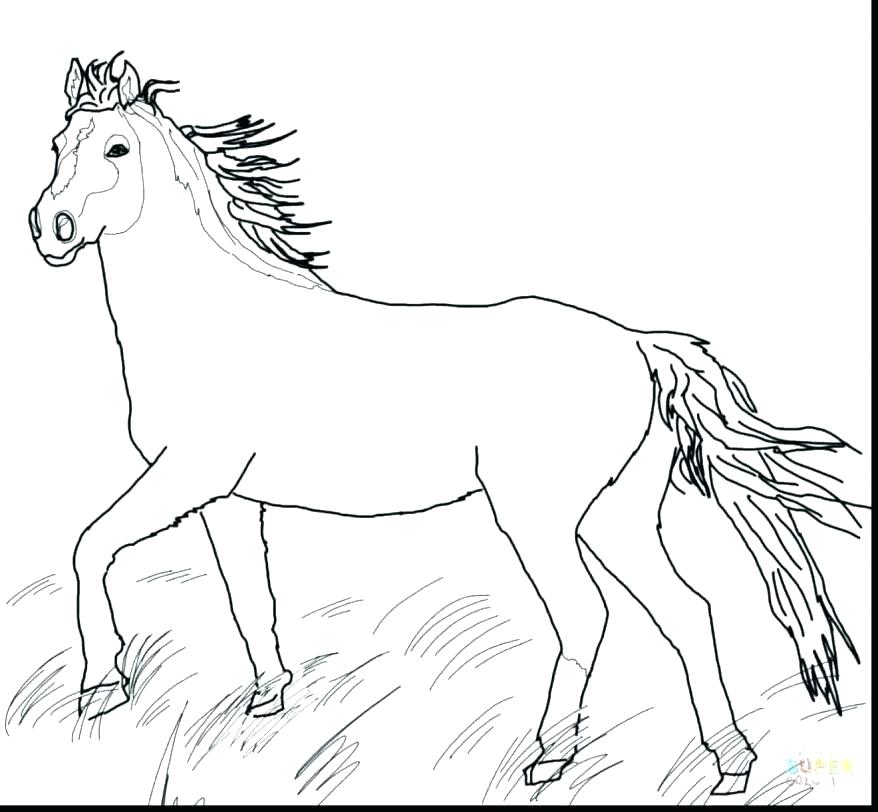 878x812 Horse Coloring Pages Horse