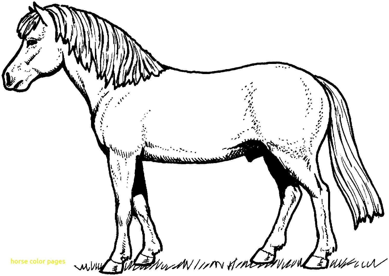 1500x1066 Exciting Western Horse Coloring Pages Best Of Horses With Sheets