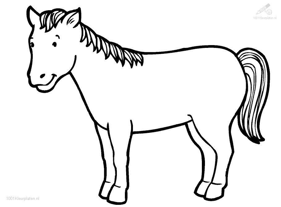 909x670 Horse Coloring Pages Sheets And Pictures In Page Inspirations