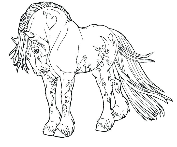 720x598 Horse Colouring Pictures Coloring Pages Horse Coloring Pages