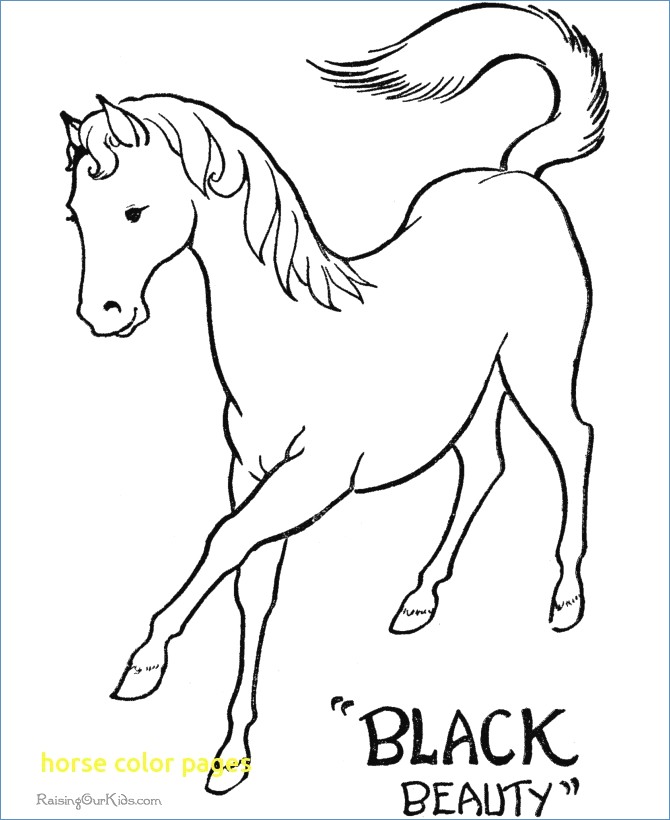 670x820 Race Horse Coloring Page For Prescool