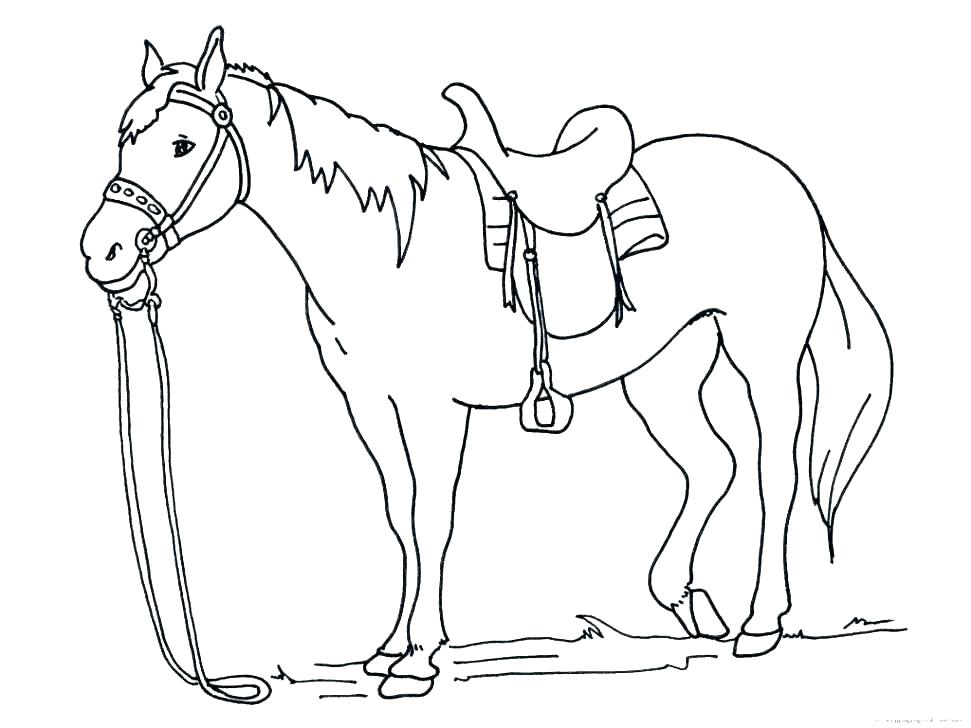 971x728 Running Horse Coloring Pages