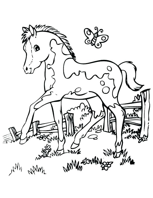 618x800 Arabian Horse Coloring Pages Horse Coloring Pages Printable Also