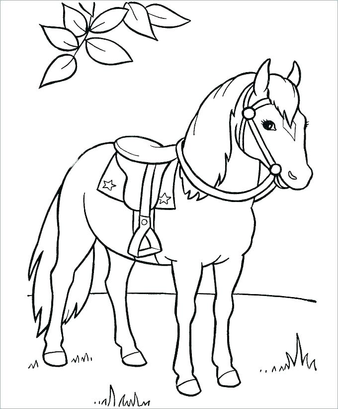 680x822 Coloring Coloring Pages Of Horse Page Jockey Silks And Wild
