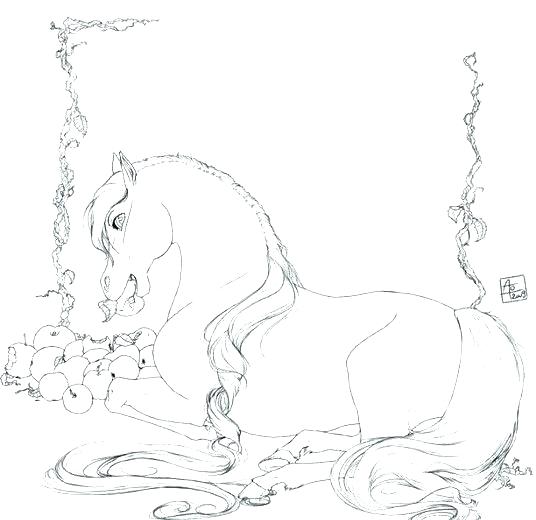 536x520 Horse Jumping Coloring Pages Horse Coloring Games Tags Free Online