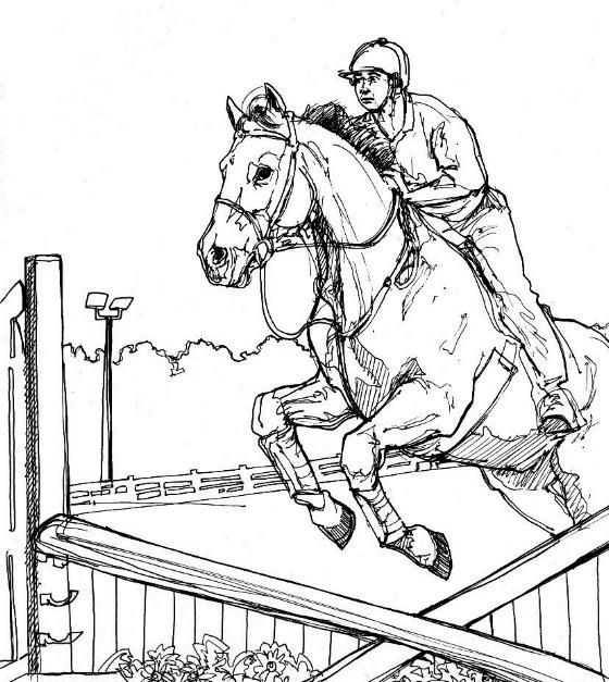 560x627 Horses Jumping Coloring Pages Color Horses Competition